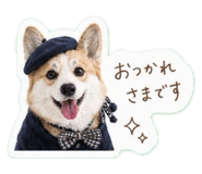 845222096