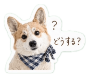 845222097
