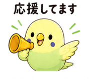 845222796