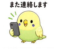 845222806