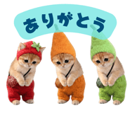 845223030