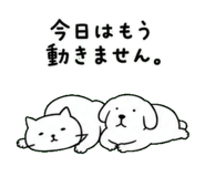 845223205