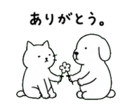 845223216