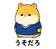 845223304