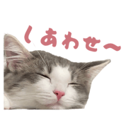 845223386