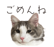 845223388