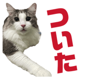 845223391