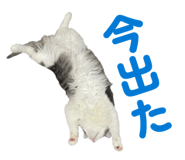 845223392
