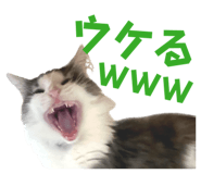 845223396
