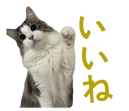 845223399