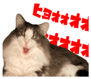 845223401