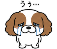 845223565
