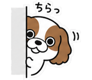 845223570