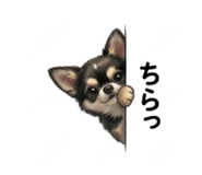845223792