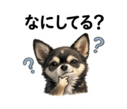 845223806