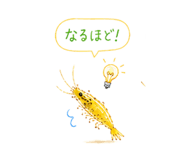 845224321