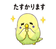 845224386
