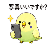 845224389