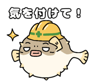 845224811