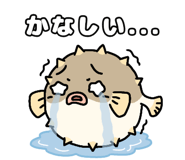 845224840