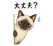 845224861