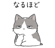 845224902