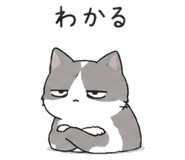 845224904