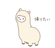 845225207