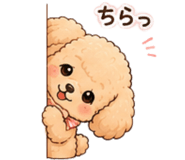 845225238
