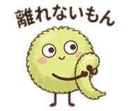 845225245