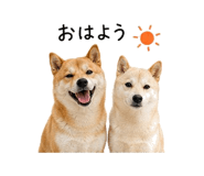 845225329