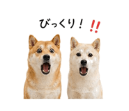 845225340