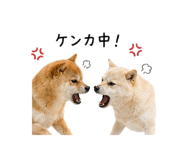 845225348