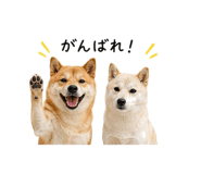 845225352