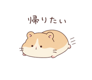 845225647
