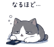 845225654