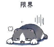 845225657