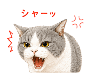 845226361