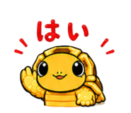 845227037