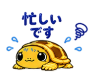 845227052