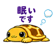 845227053