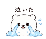 845227081