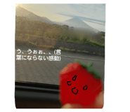 845227306