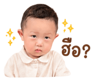 845227521