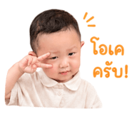 845227527
