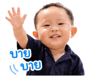 845227547