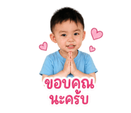 845228116
