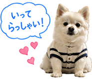 845228179