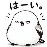 845228499