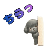 845228756